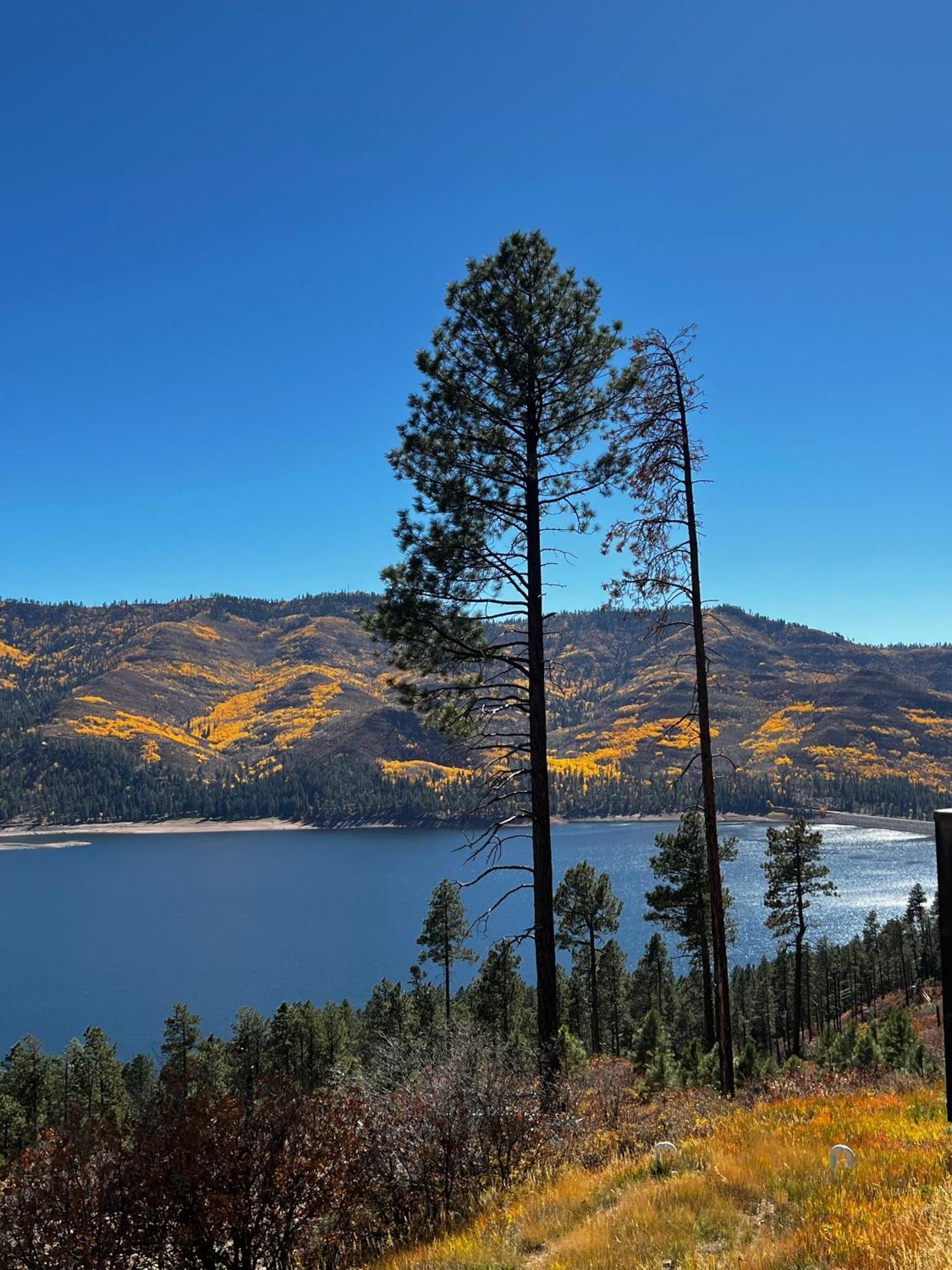 Bear Paw Lodge & Vacation Homes Vallecito Exterior foto