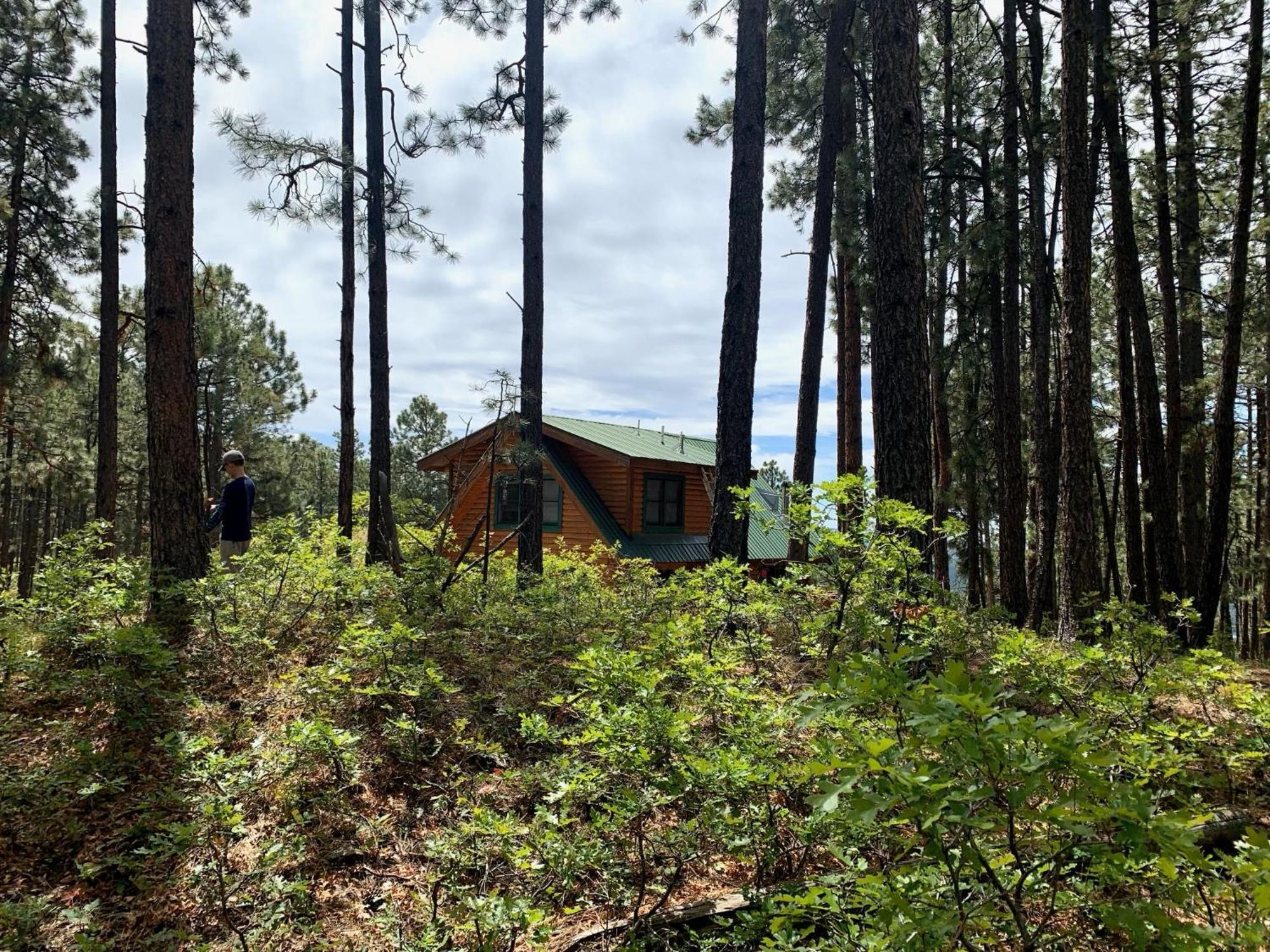 Bear Paw Lodge & Vacation Homes Vallecito Exterior foto